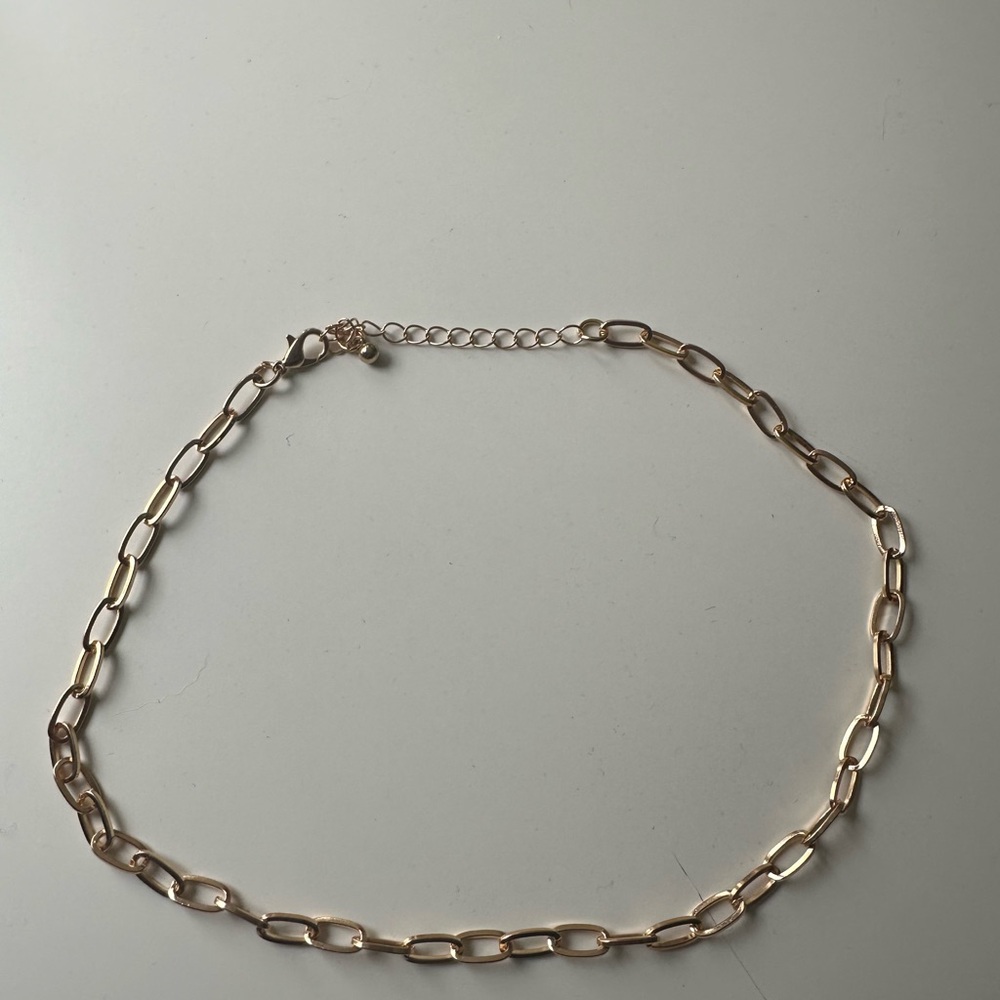 Francesca's Collections Gold Link Necklace
